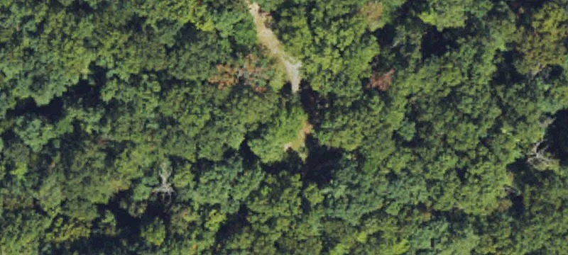 Brevard, NC 28712