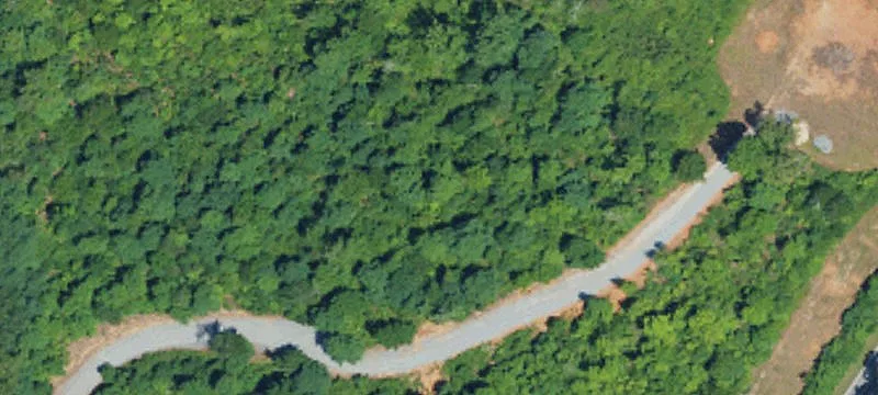 Dycus Rd