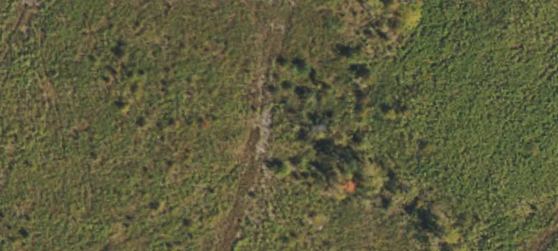 Hillsborough, NC 27278