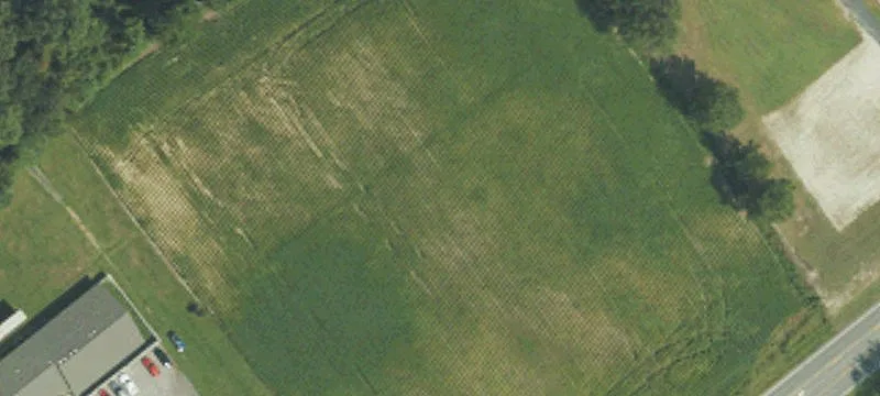 Beulaville, NC 28518