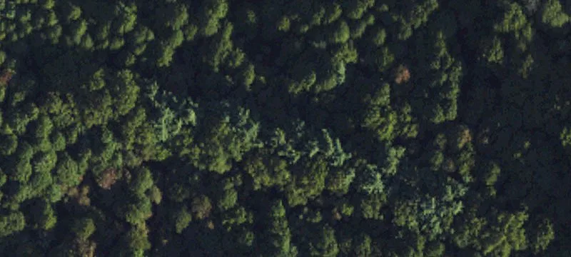 Mars Hill, NC 28754