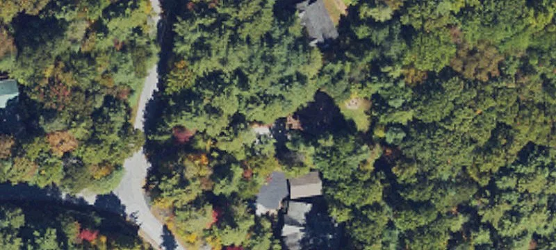 12 Lupton Rd