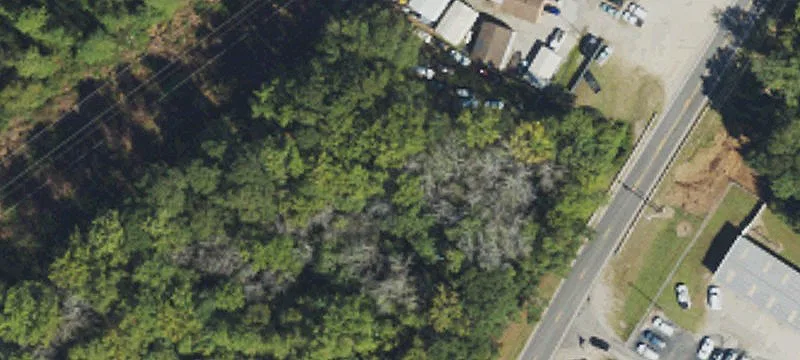 Mccoll Rd