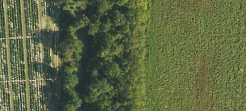 Fletcher, NC 28732