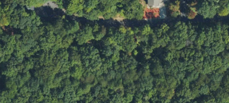 Flynn Ct