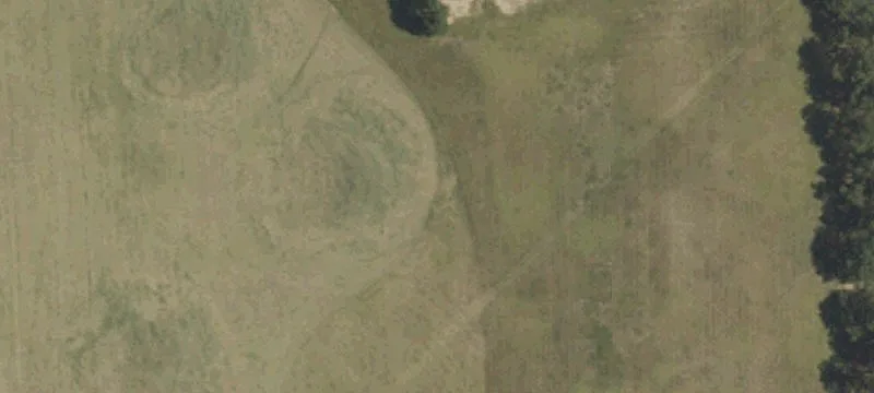 Hog Quarter Rd