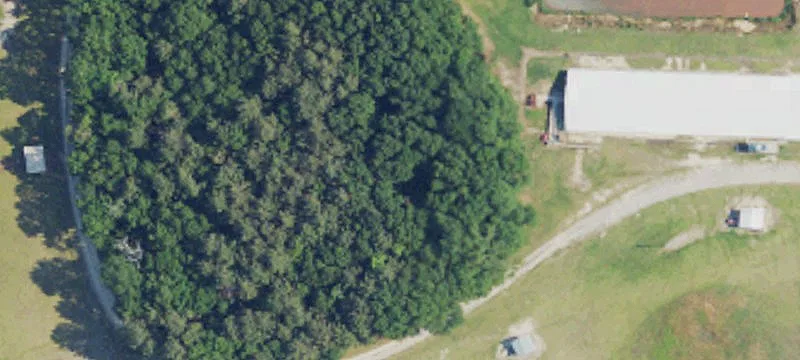 Marston, NC 28363