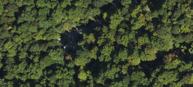 Cedar Mountain, NC 28718