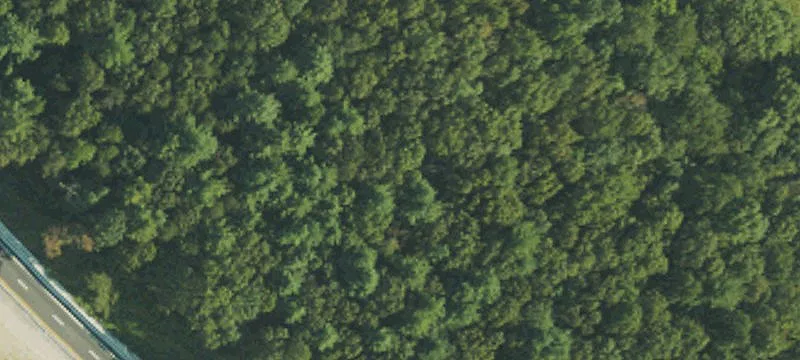 Hendersonville, NC 28792