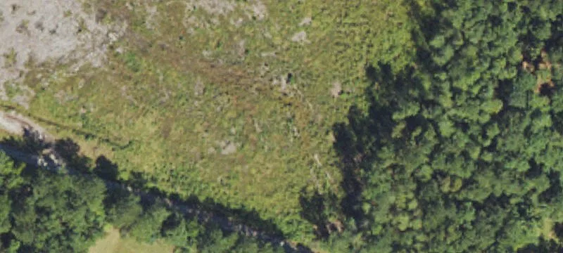 Burgaw, NC 28425