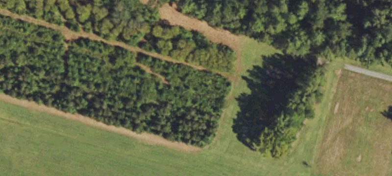 Burgaw, NC 28425