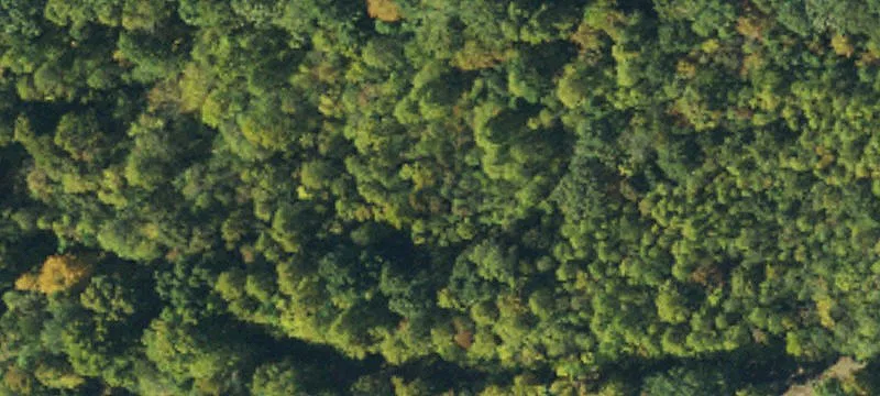 I 40