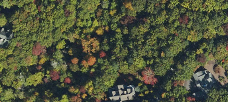 226 Toxaway Ct