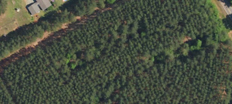Dills Rd