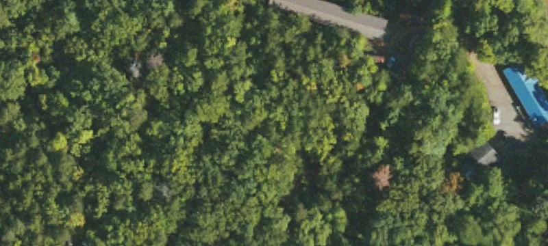 Jacumin Rd