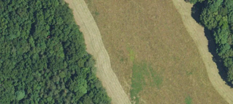 Piney Mtn Church Rd