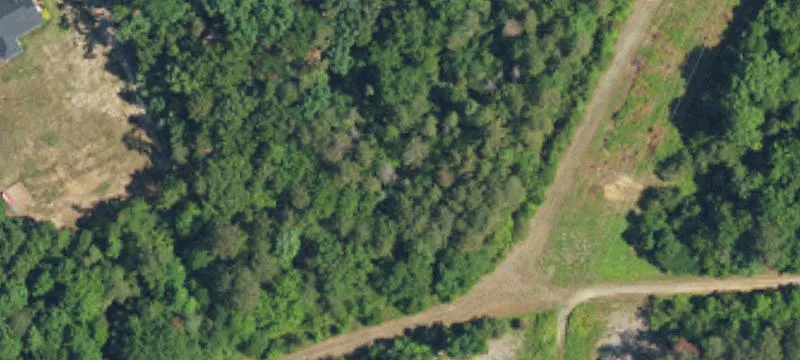 Boxwood Ln