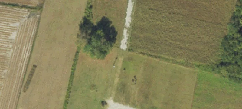 Nc 125