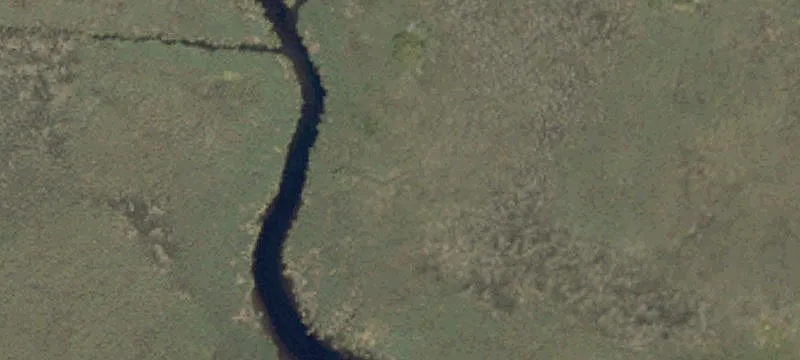 Marsh