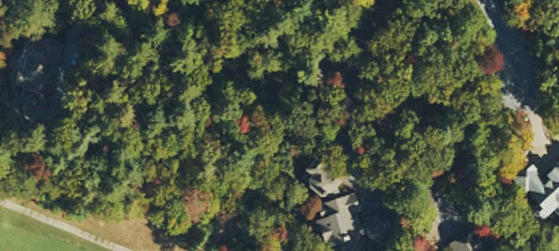116 Homestead Rd