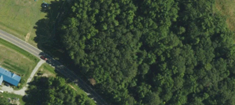 Magnolia, NC 28453