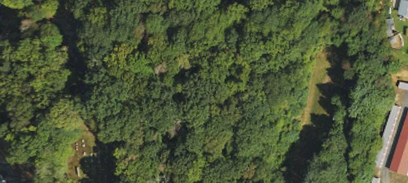 Mars Hill, NC 28754