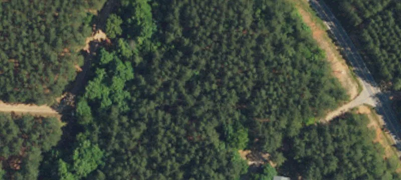 Dills Rd