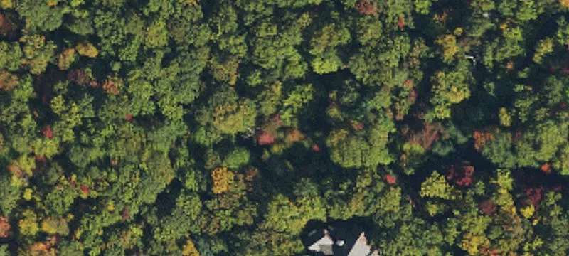 230 Toxaway Dr