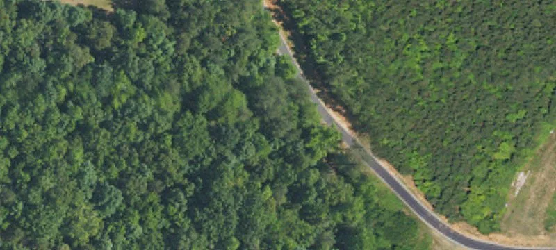 Salem Church Rd