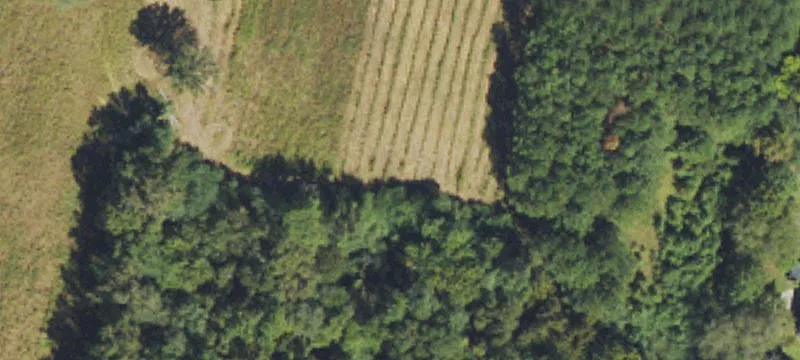 Wallace, NC 28466