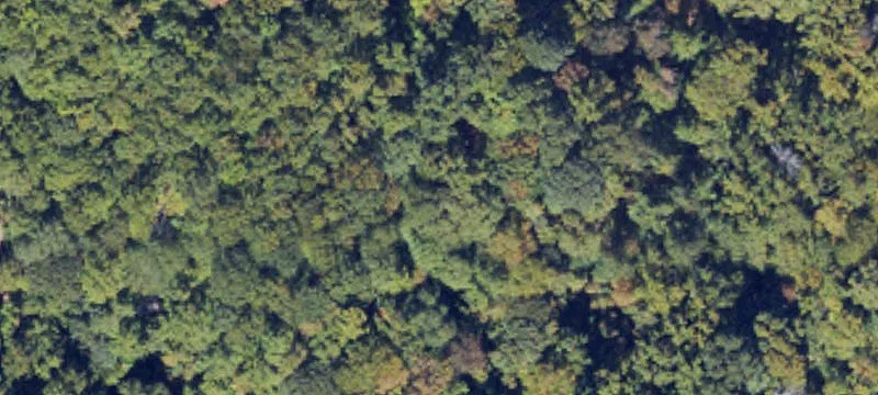 Deep Gap, NC 28618