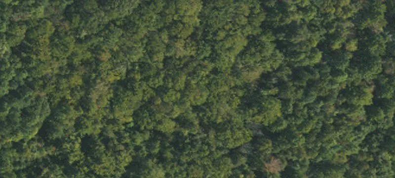 Je Herndon Access Rd