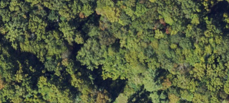Banner Elk, NC 28604