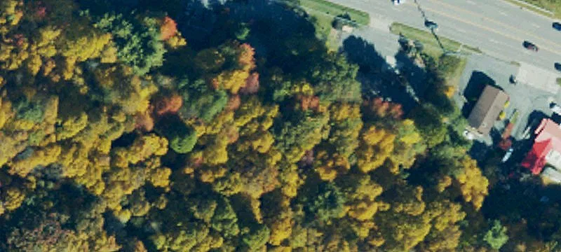 Boone, NC 28607