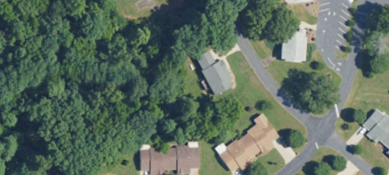 Iris Ln
