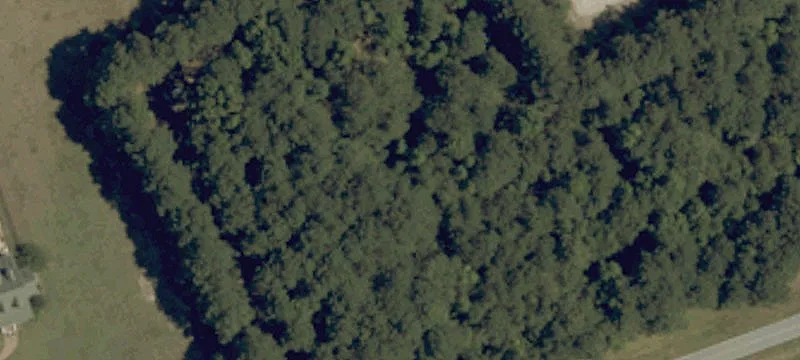 Augusta Dr