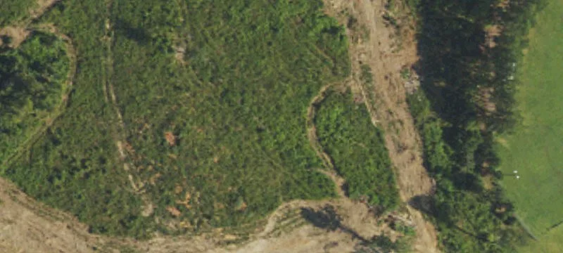 Carolina Hwy, Unit 96