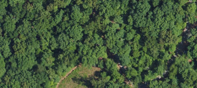 Nebo, NC 28761