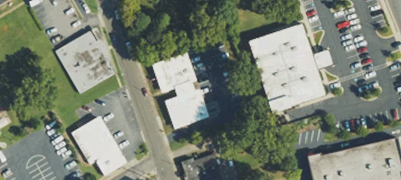 110 New College St