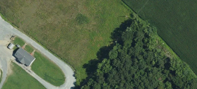 Faison, NC 28341