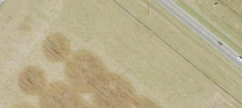 Hwy