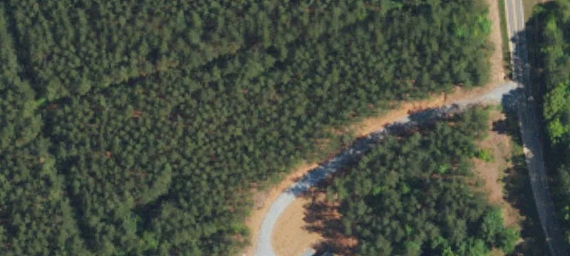 Dills Rd