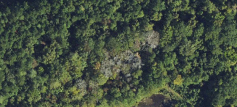 Burgaw, NC 28425