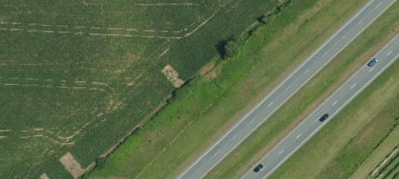 Faison, NC 28341