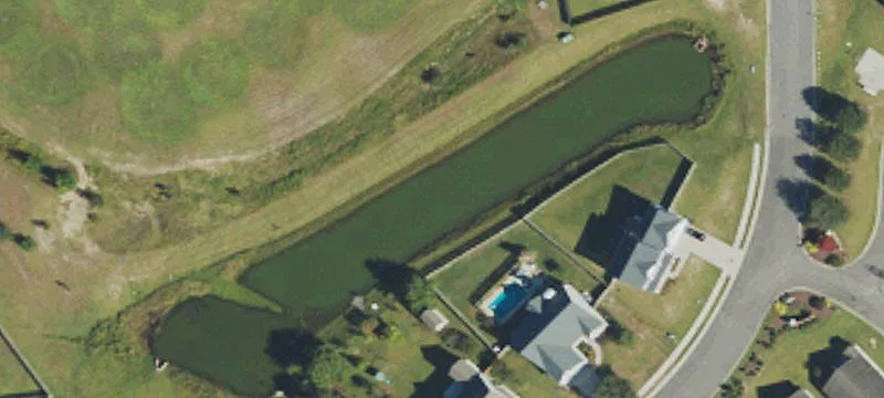 Avendale Dr