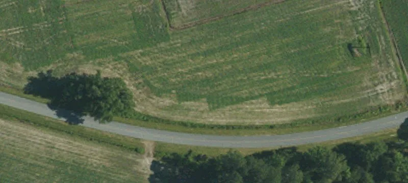 Old Teachey Rd