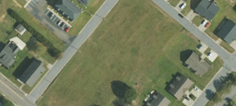 Belcher St