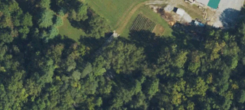 294 Toms Crk Rd
