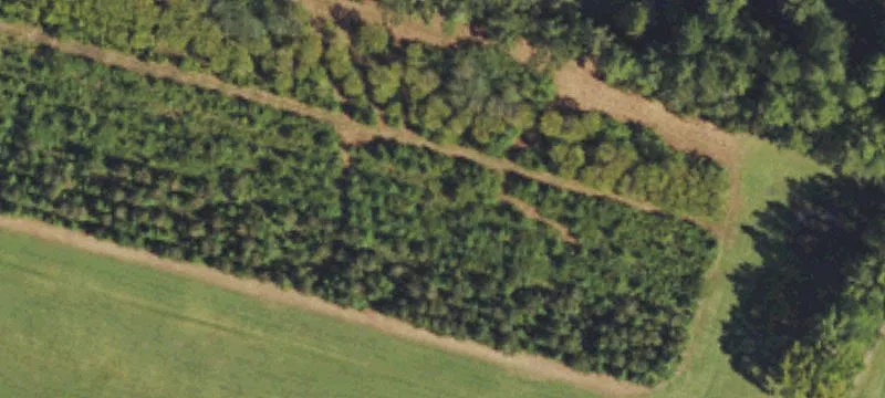 Burgaw, NC 28425