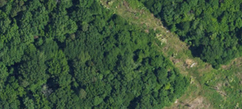 Bringle Fry Rd
